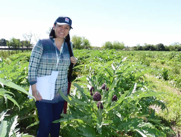 Yelitza Colmenare, field work as biological control practitioner